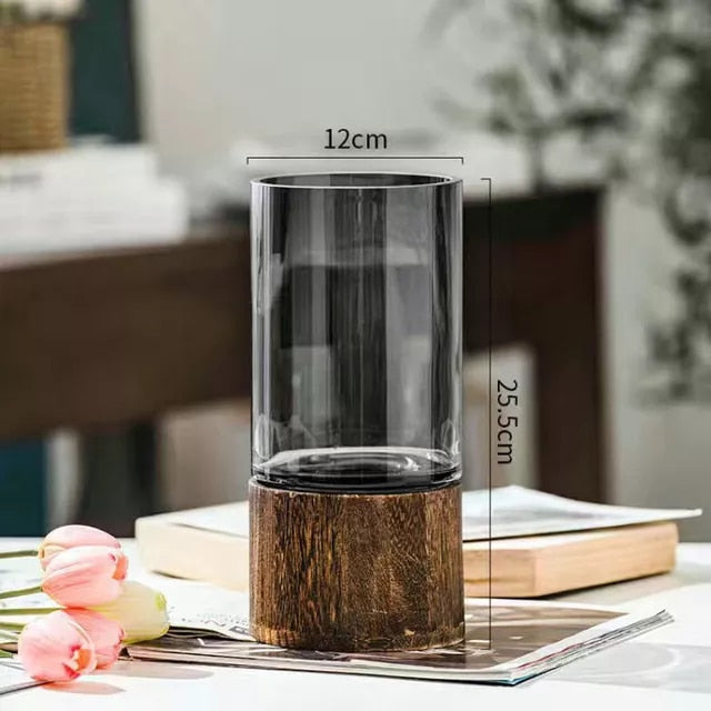 Simple European hydroponic transparent glass vase